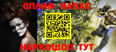 a pvp Краснознаменск