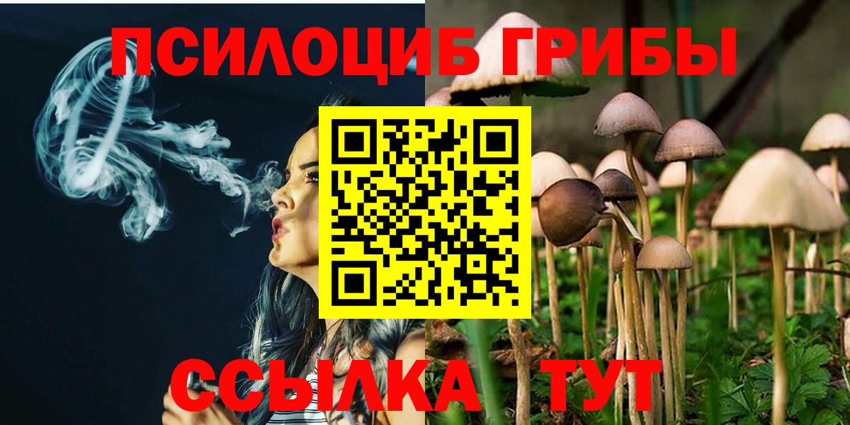 Псилоцибиновые грибы Cubensis Елабуга