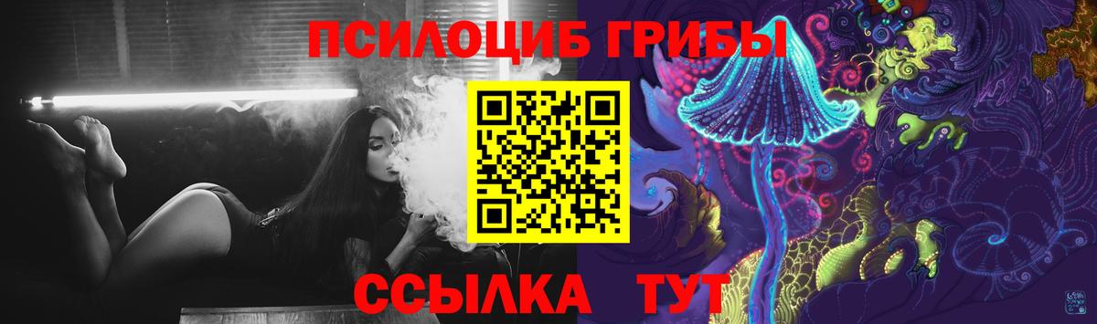 Псилоцибиновые грибы Cubensis  Вход с VPN  Елабуга 